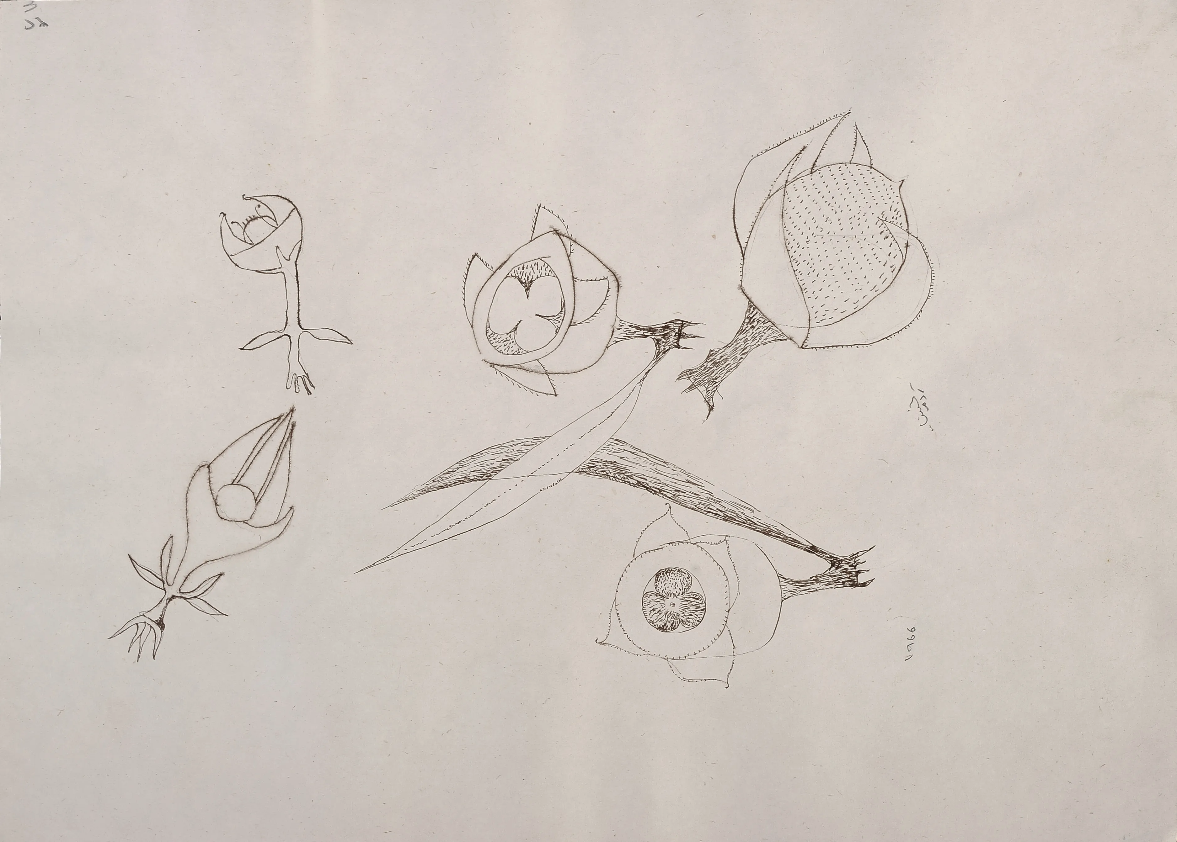 Untitled Ink101