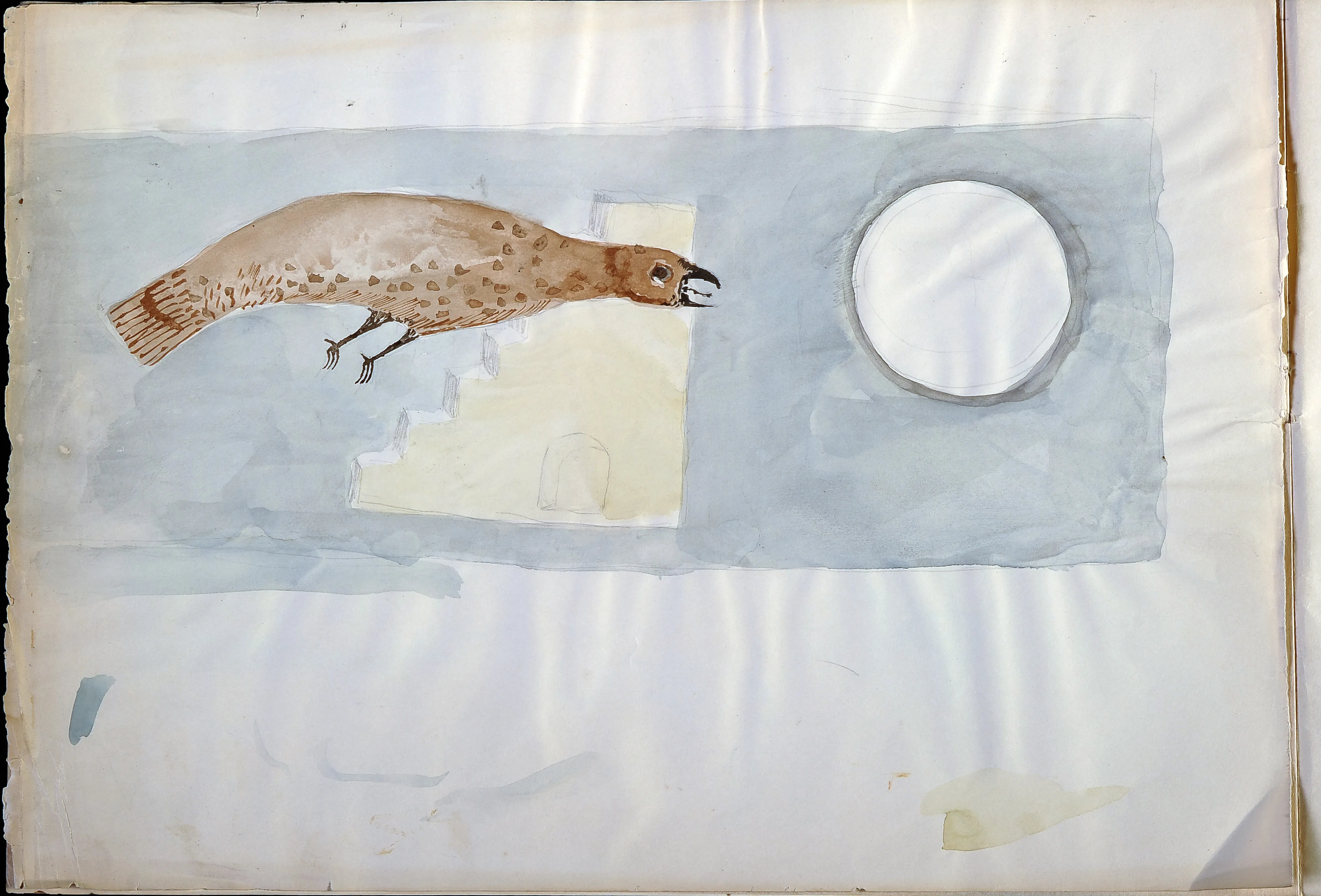 Untitled Watercolor 16