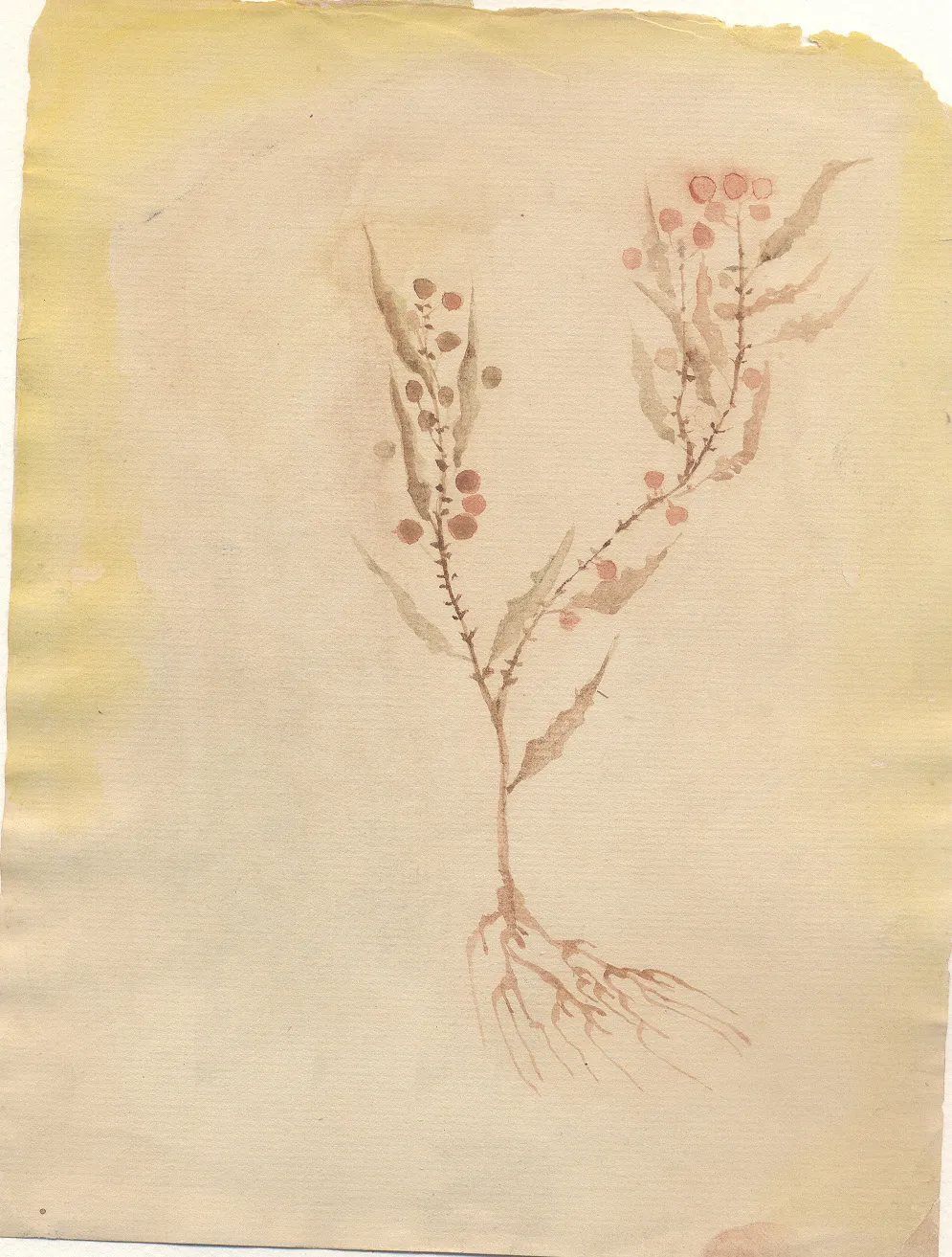 Untitled Watercolor 08