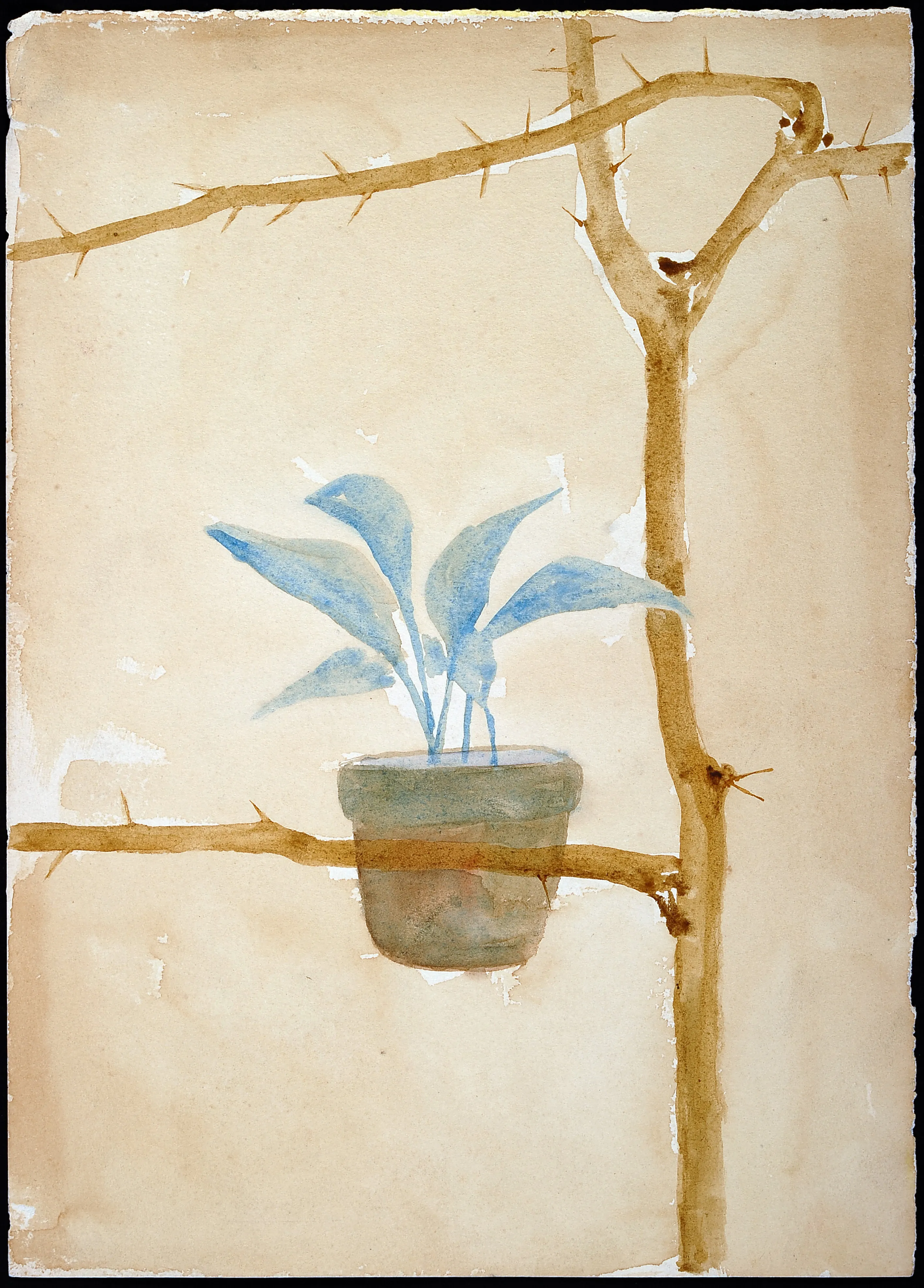 Untitled Watercolor 108