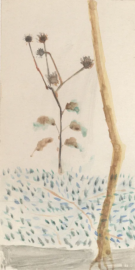 Untitled Watercolor 120