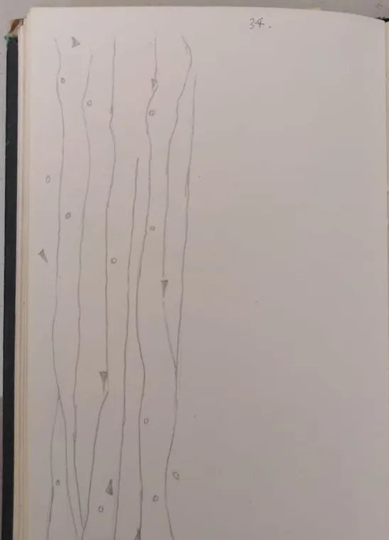 Sketch 36