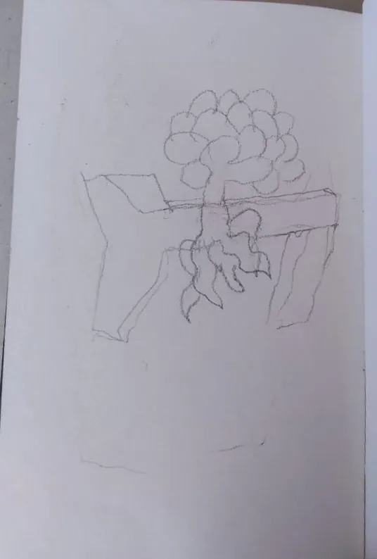 Sketch 219