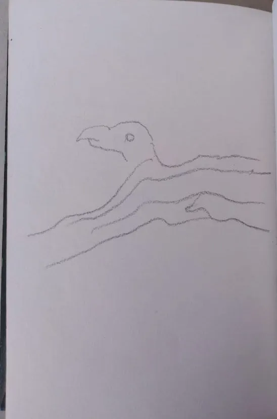 Sketch 226