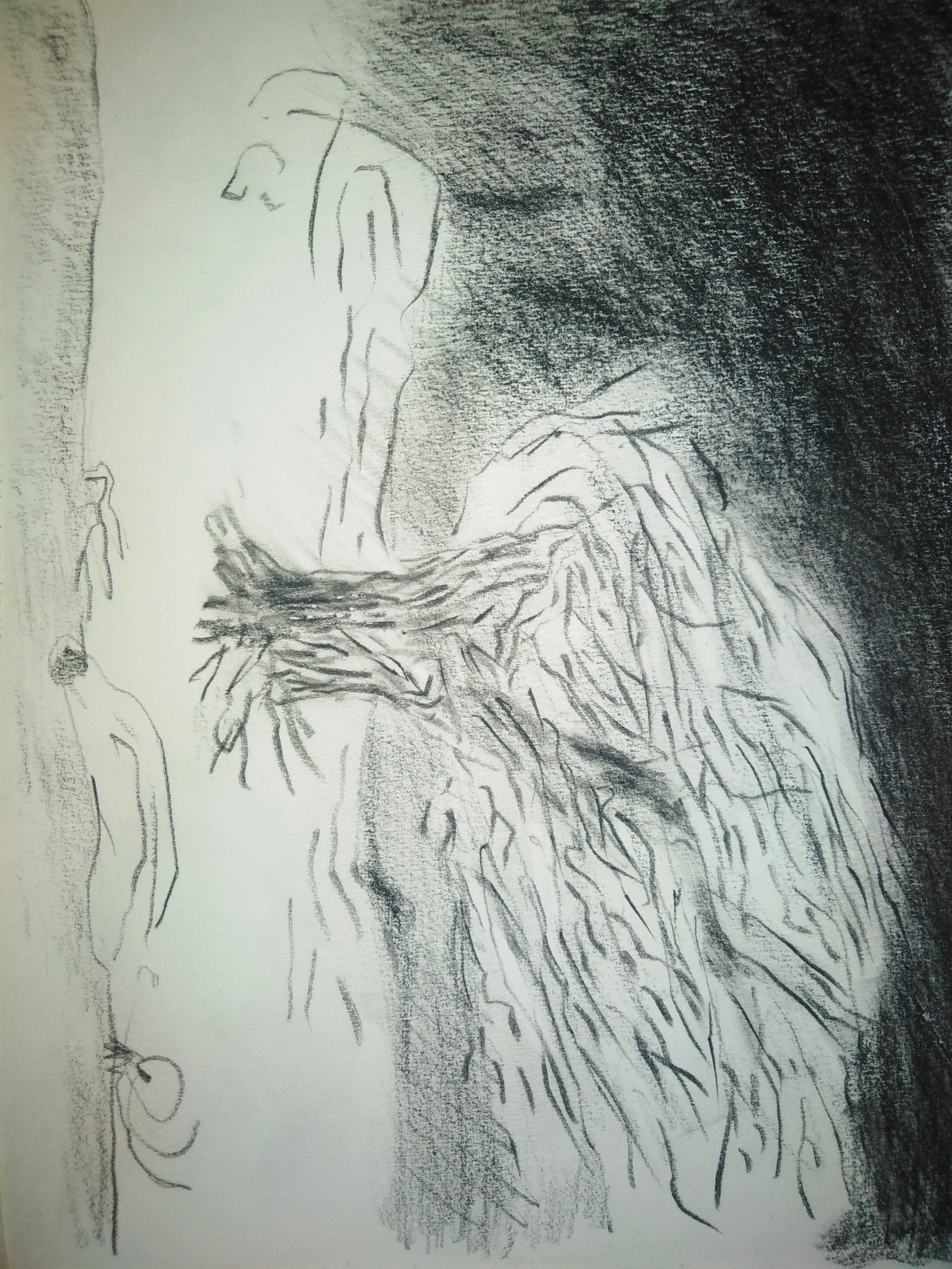 Sketch 1132
