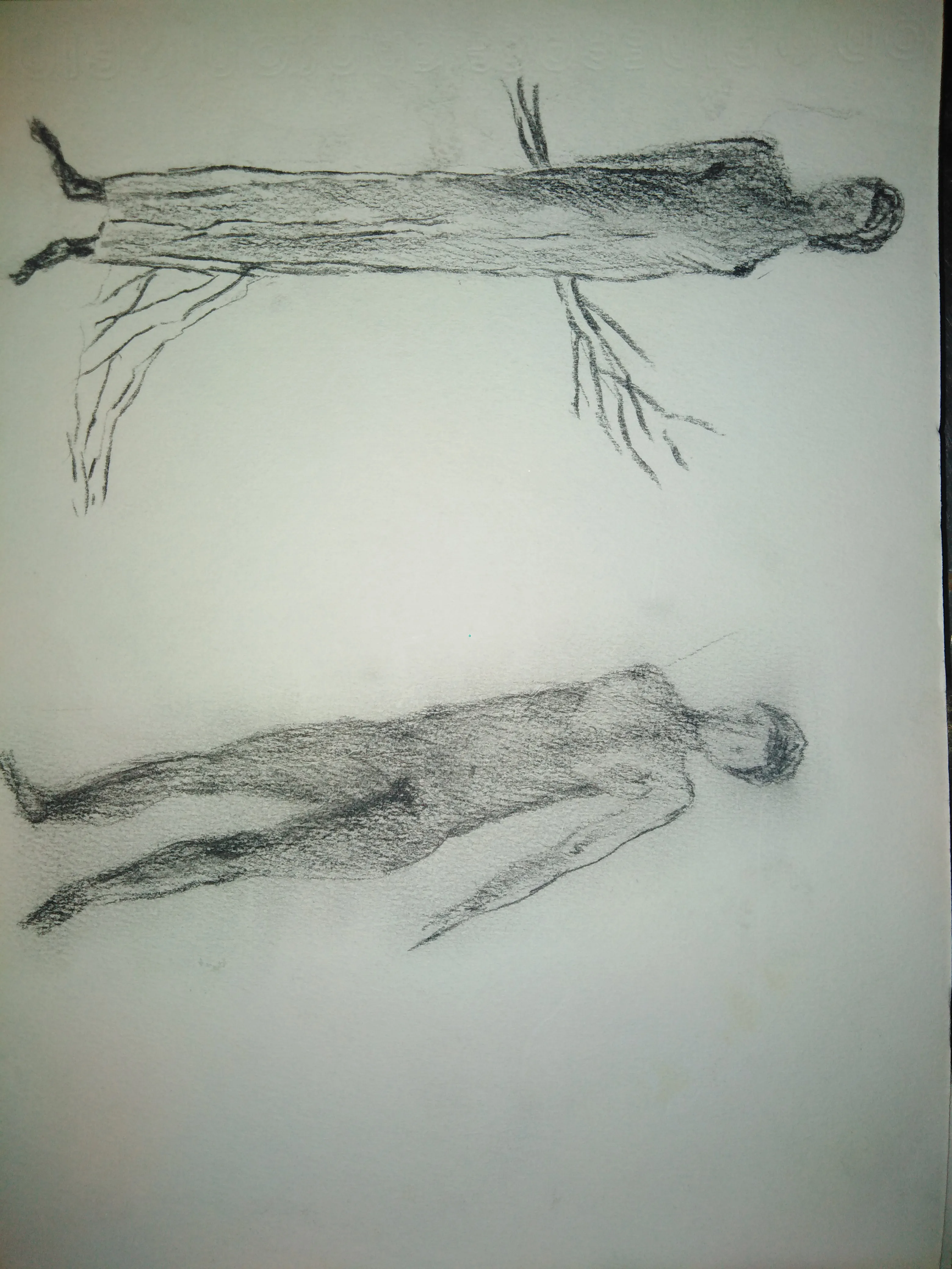 Sketch 1133