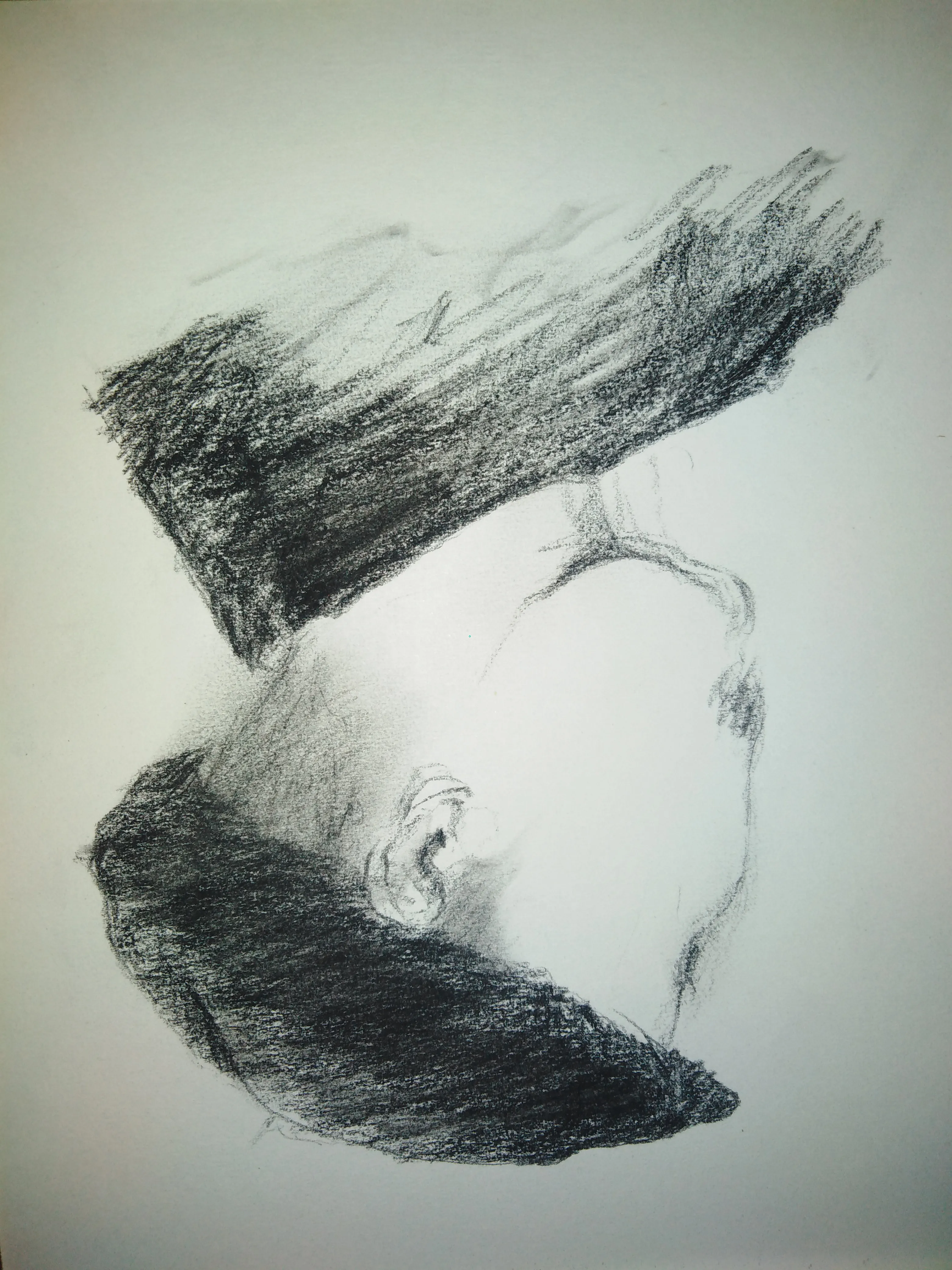Sketch 1137