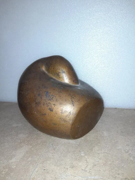 A Sleeping Duck (large)
