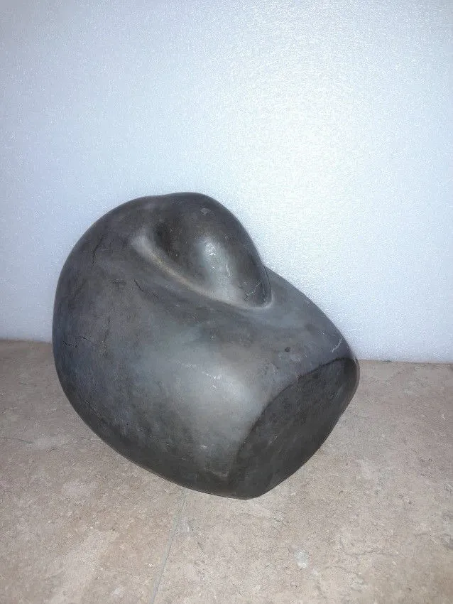 A Sleeping Duck (large)