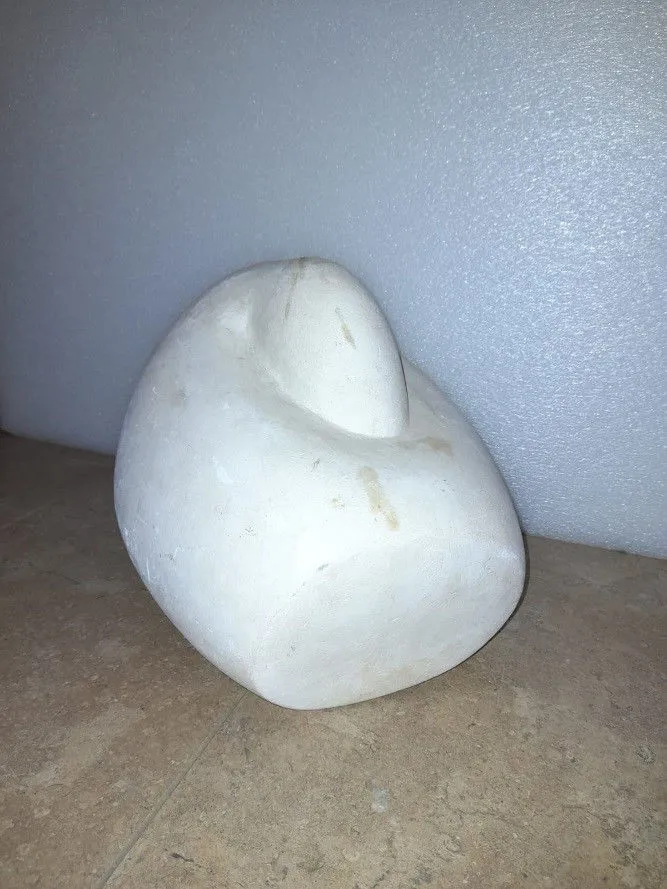 A Sleeping Duck (medium)
