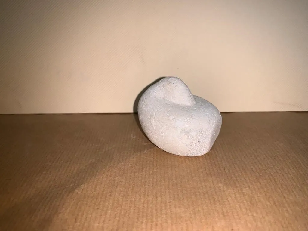 A Sleeping Duck