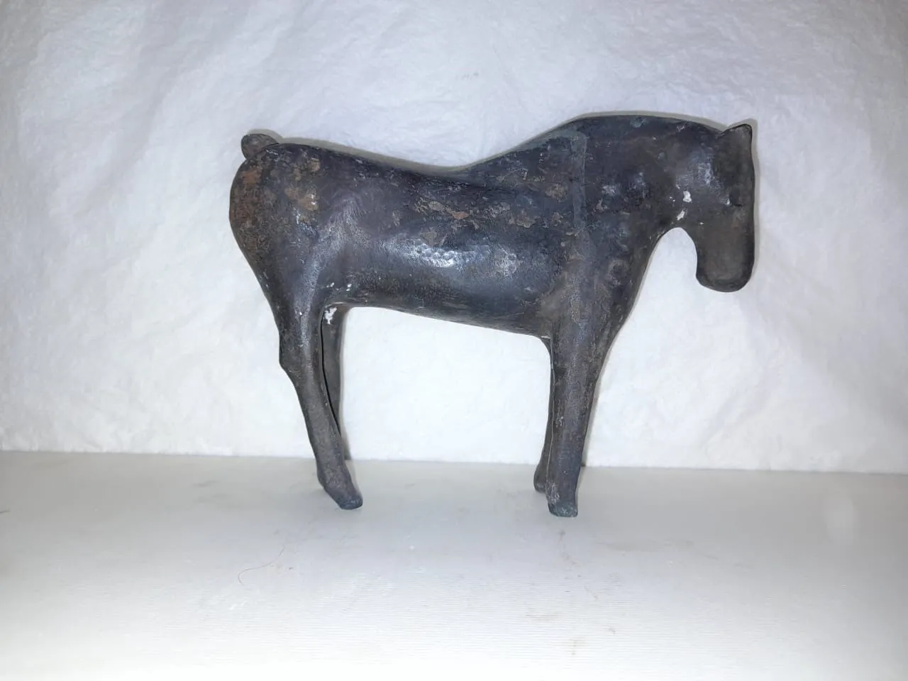 A Horse