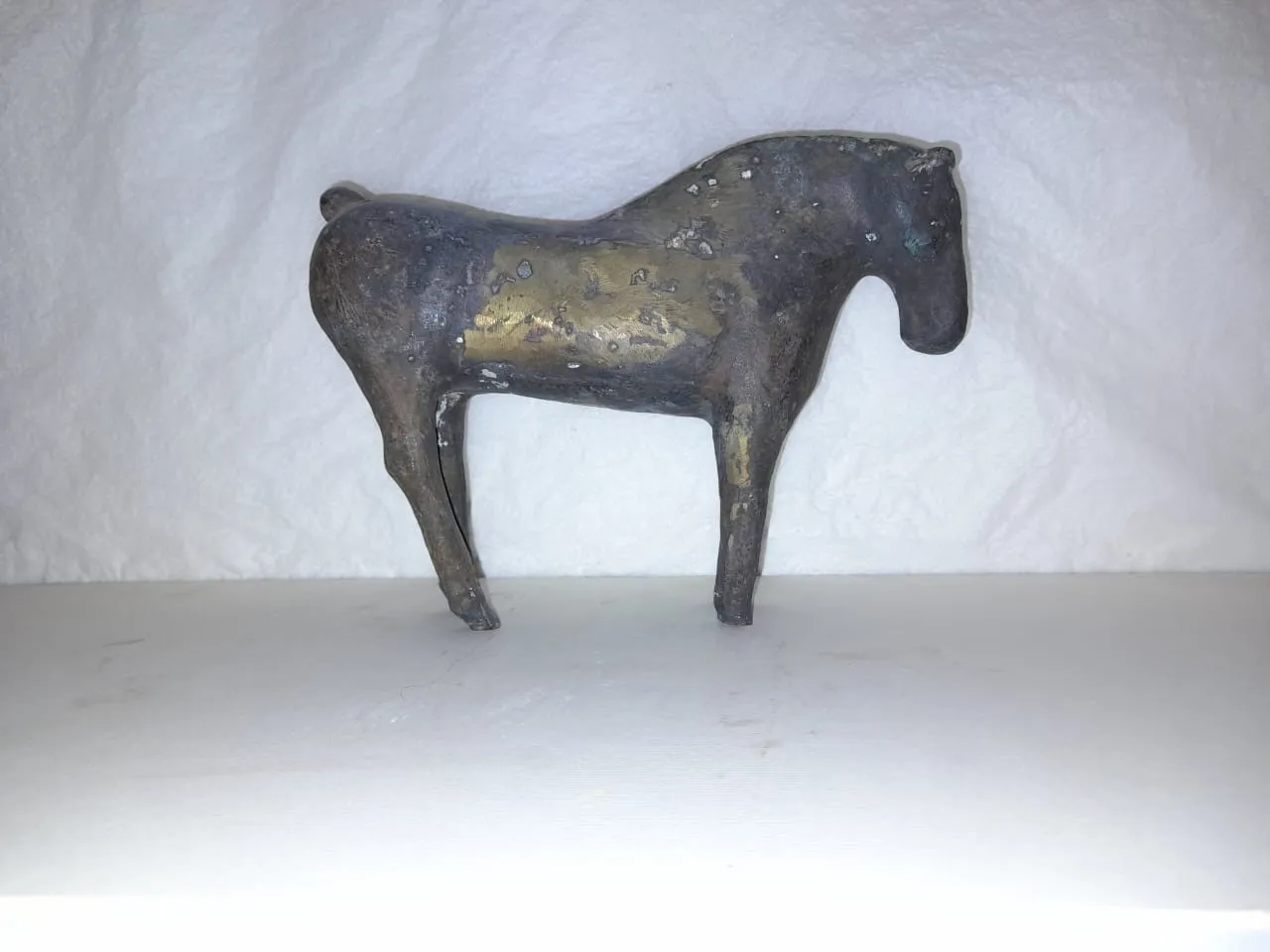 A Horse