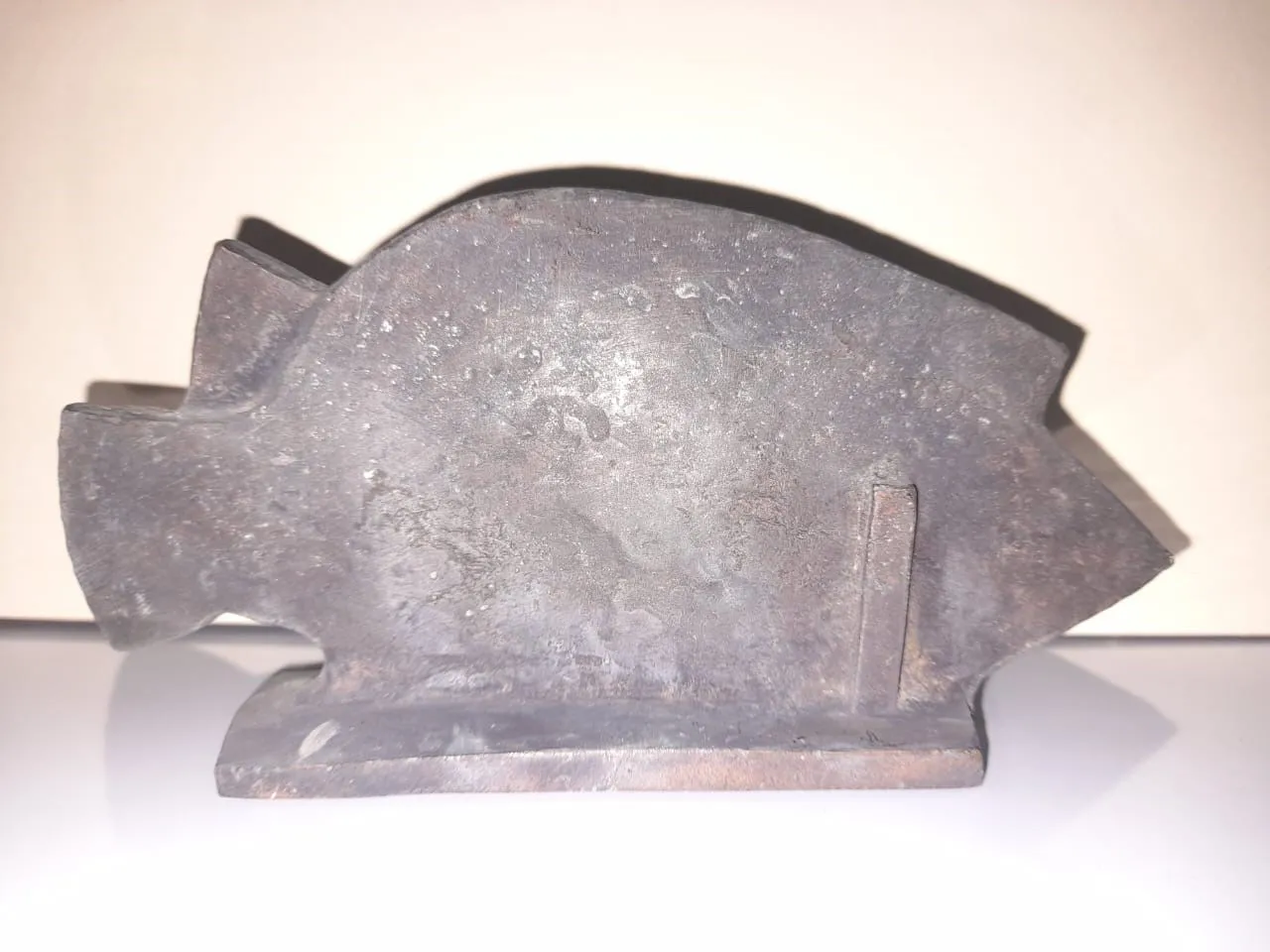A Fish (3)
