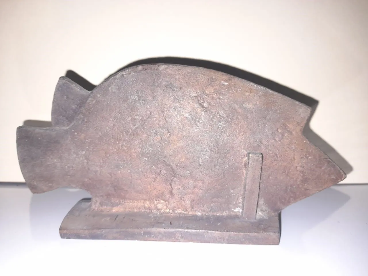 A Fish (3)