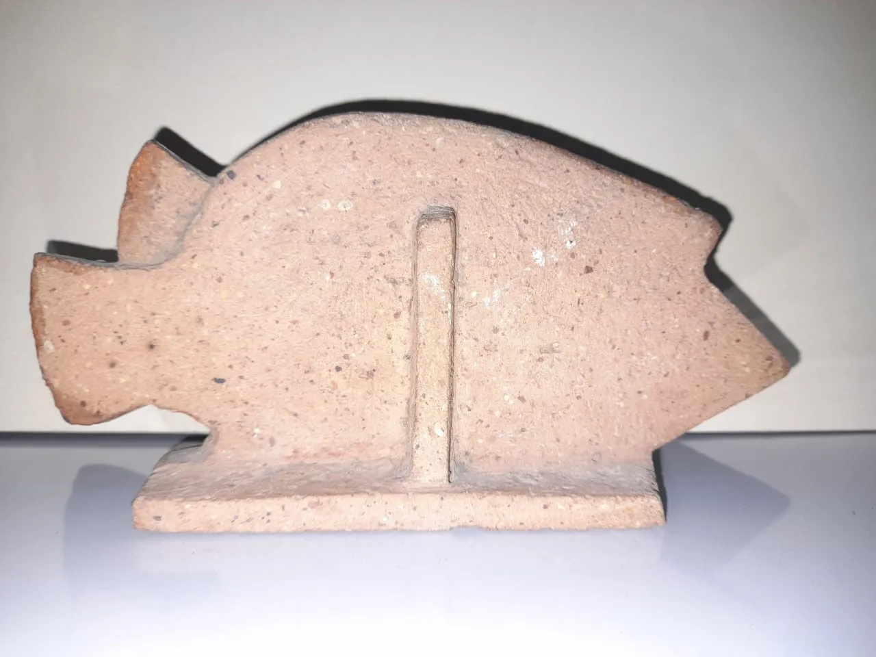 A Fish (3)