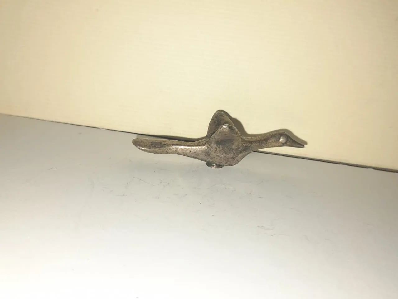 An Immigrant Bird