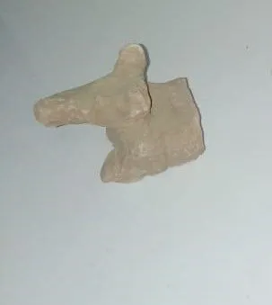 A Dog