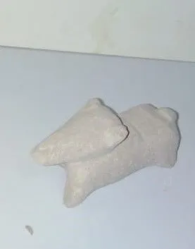 A Dog