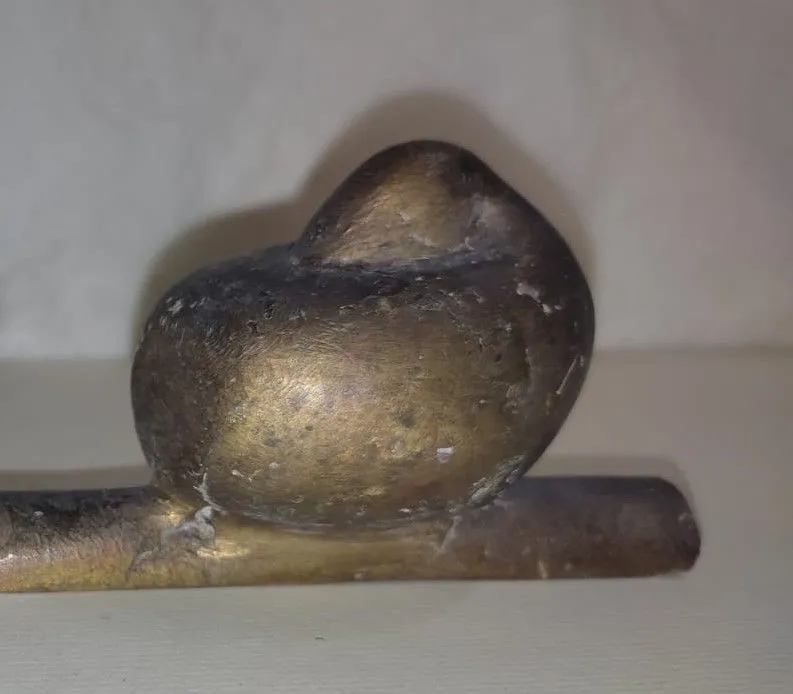 A Sleeping Duck