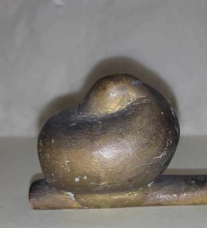 A Sleeping Duck