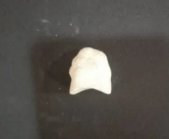 Part Of  A Statue