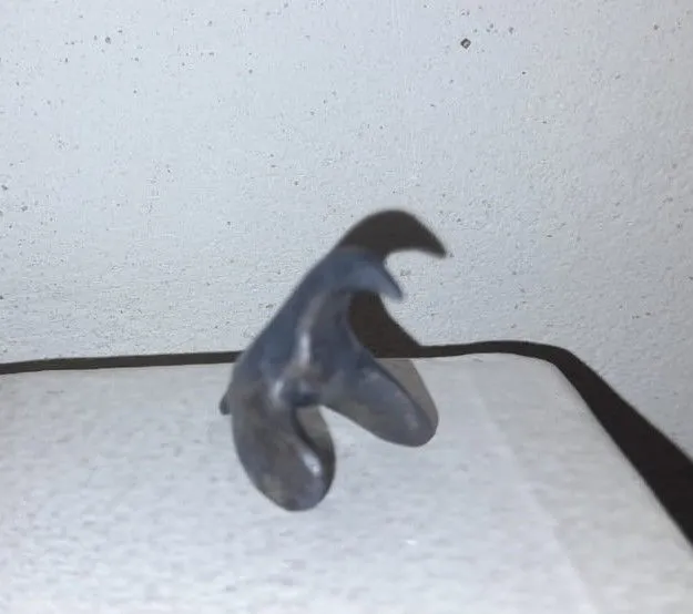 A Duck
