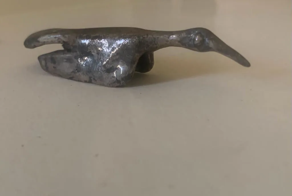 A Bird