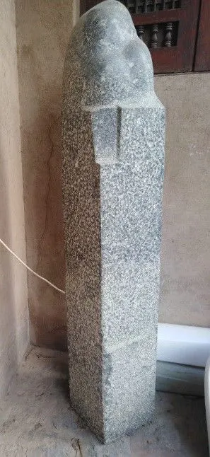 Wave (3)