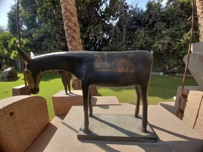The Donkey