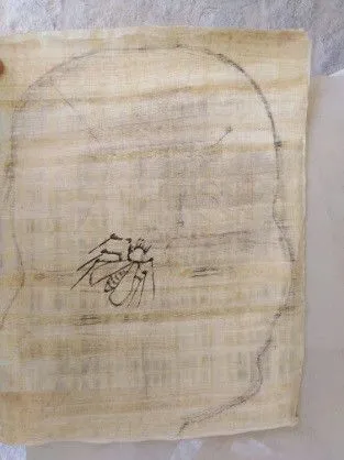 Untitled P.G.P 313