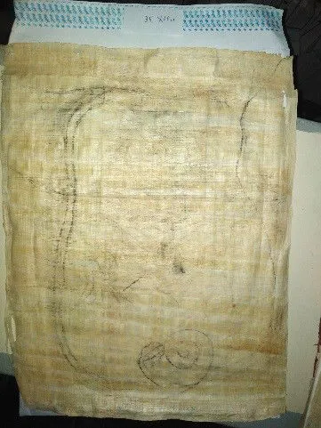 Untitled P.G.P 315