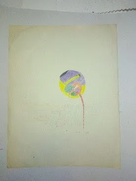 Untitled wood color 13