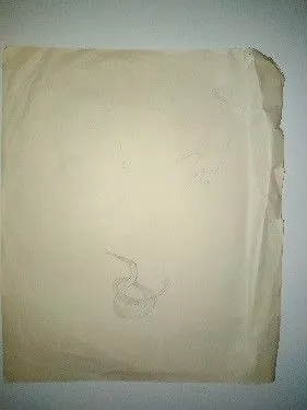 Untitled Pencil 824