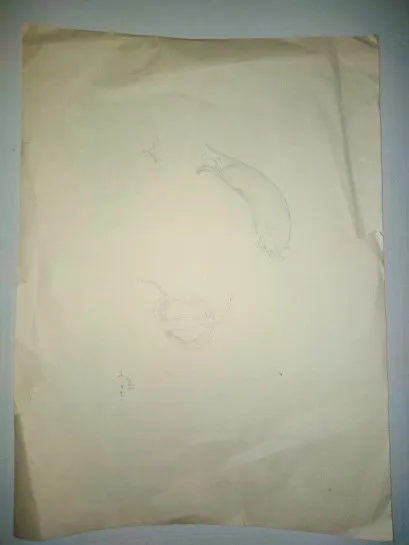 Untitled Pencil 836