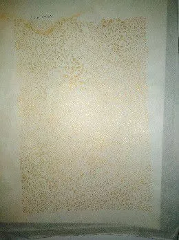 Meditations 114