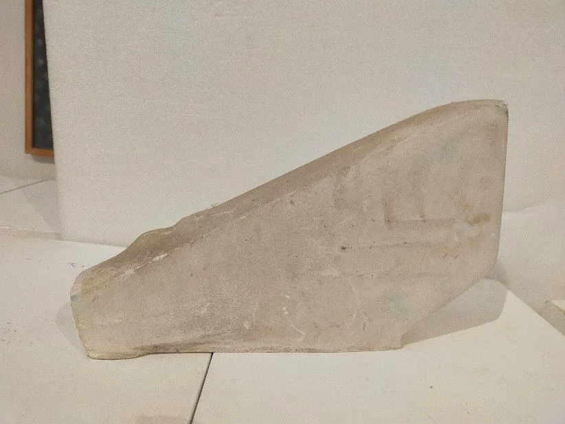 Water Bird