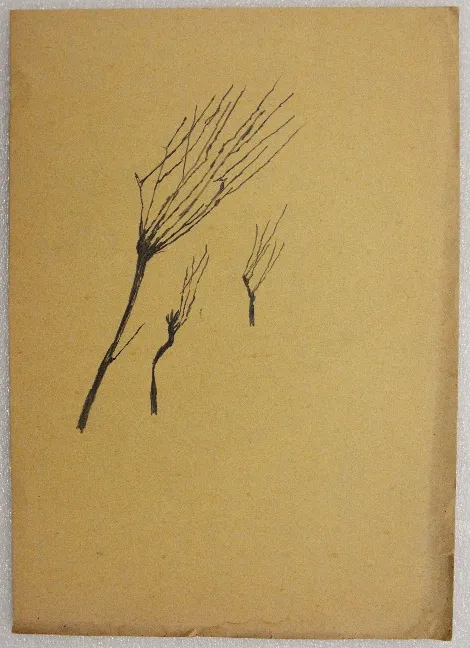 Untitled 325 Ink