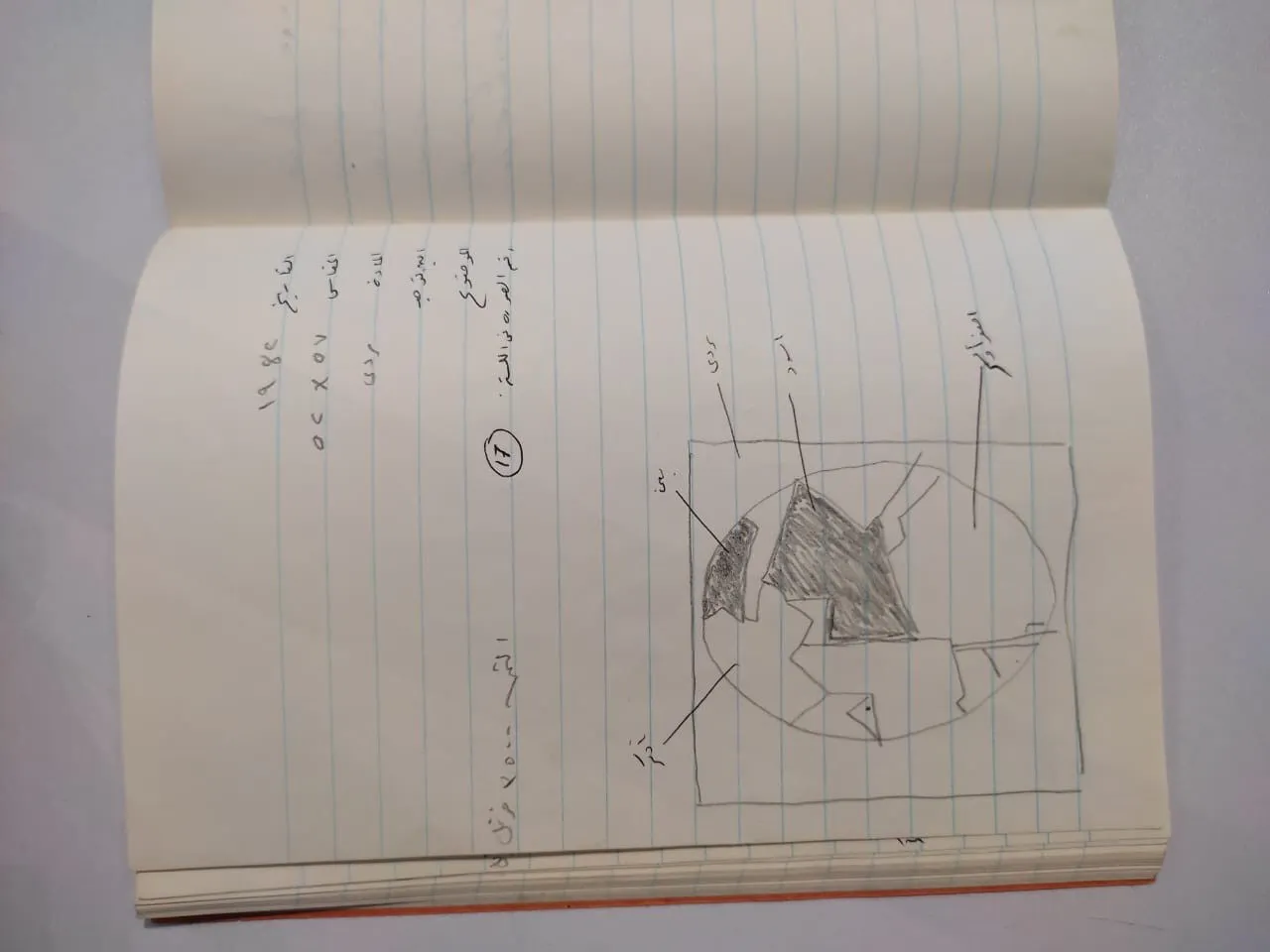 Sketch 1878