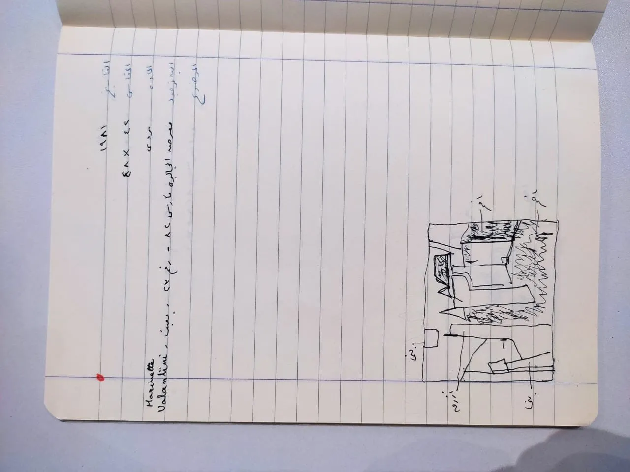 Sketch 1918