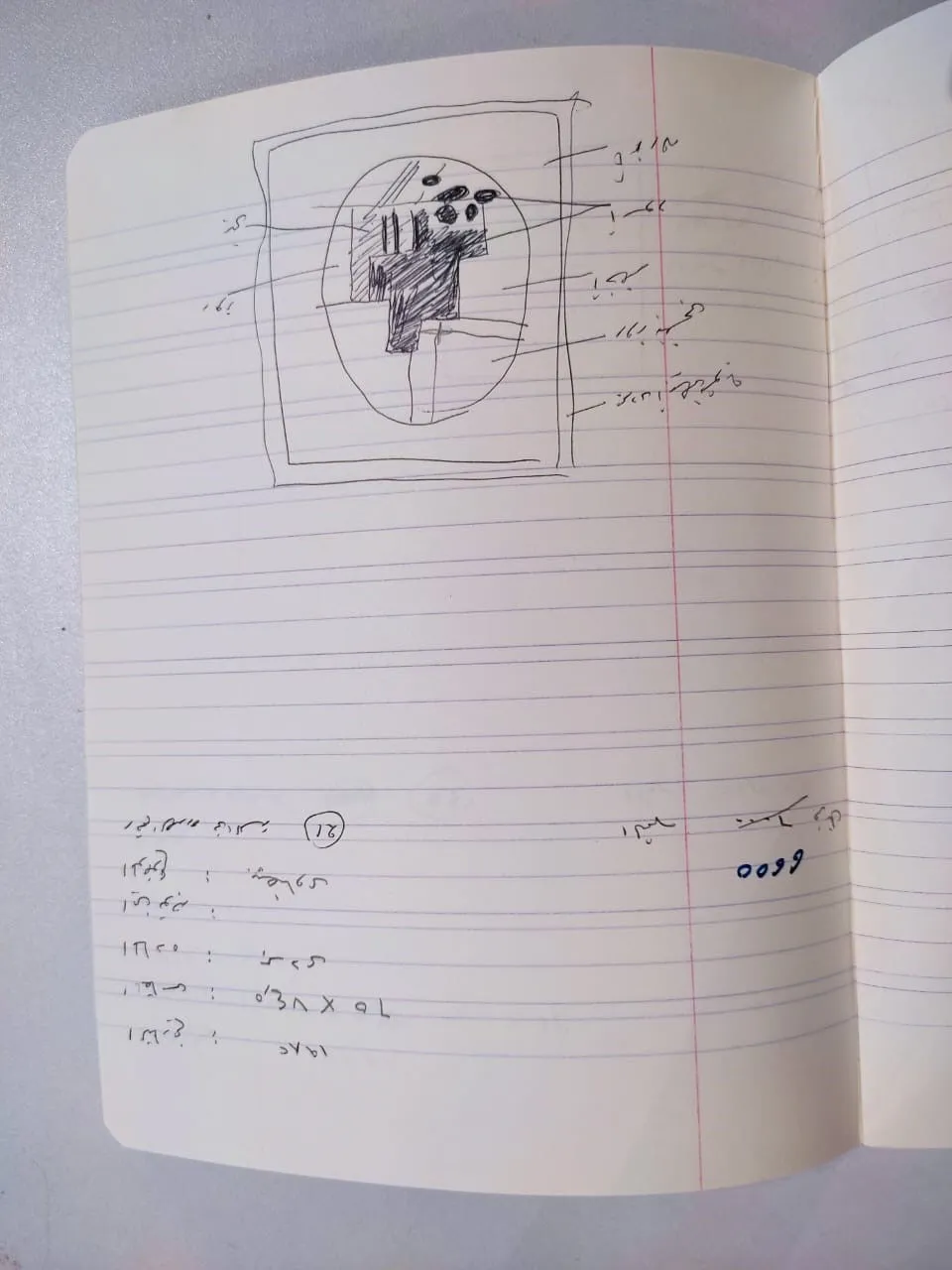 Sketch 1971