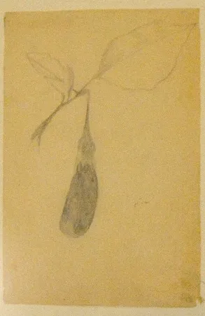 Untitled Pencil44