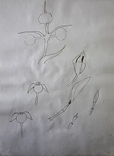 Untitled Pencil 872