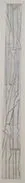 Untitled 1186 Pencil