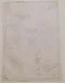 Untitled 1183 Pencil