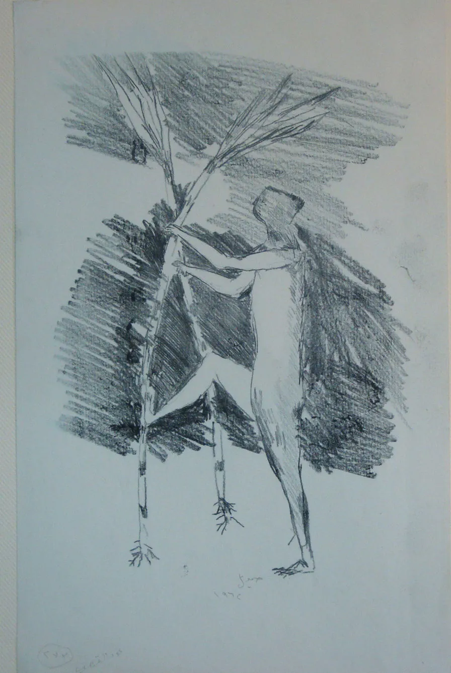 Sugarcane