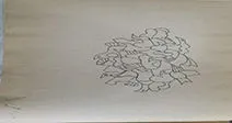 Sketch 1538
