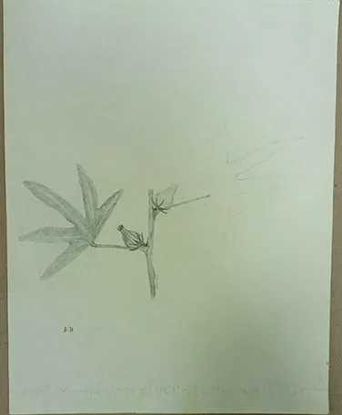 Untitled 1275 Pencil