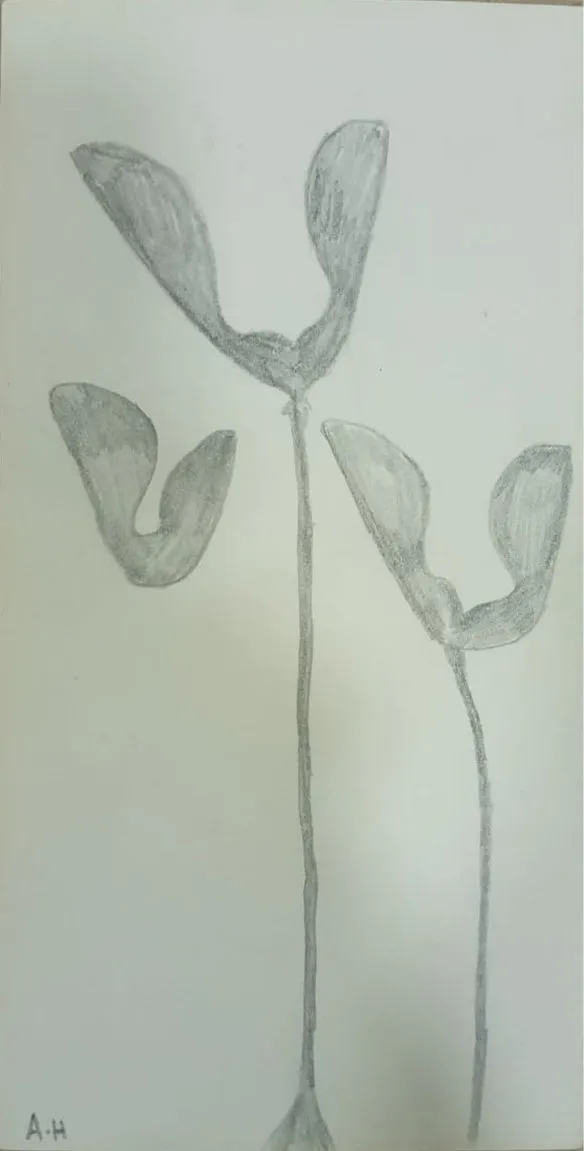 Untitled 1307 Pencil