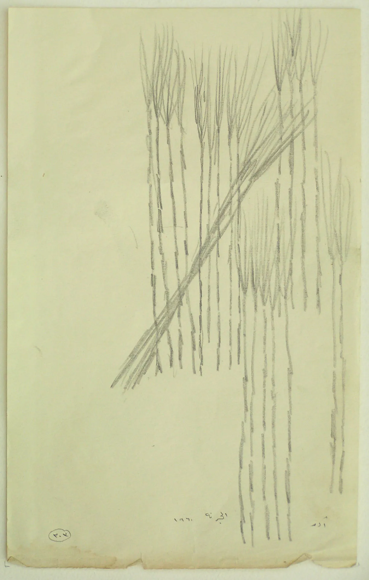 Untitled Pencil125